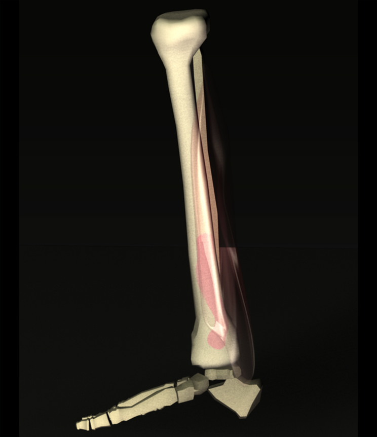 Demo UI